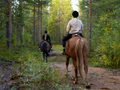 Midnightsun ☀️ yoga & Horseriding Retreat